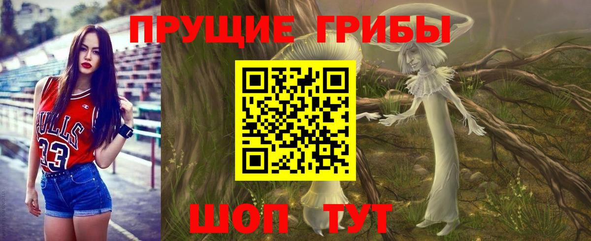 Кольчугино  Галлюциногенные грибы мицелий  Вход с VPN 