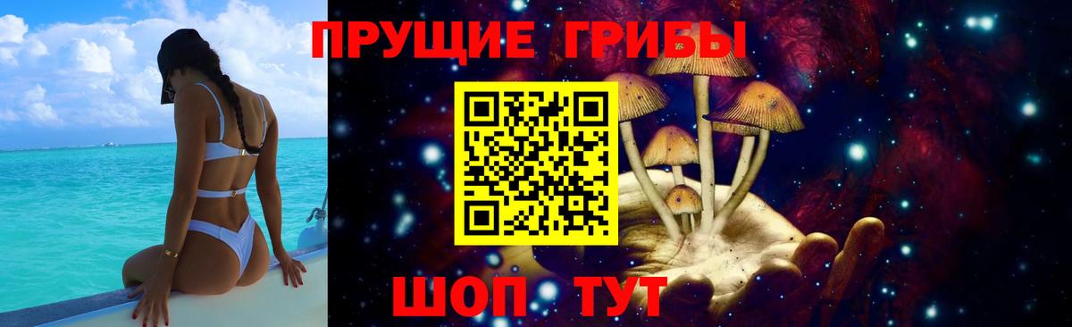 Галлюциногенные грибы GOLDEN TEACHER Кольчугино